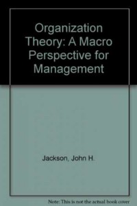 Organization Theory: A macro perspective for management